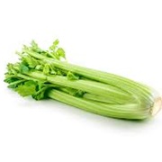 Celery