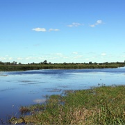 Richard Bong State Recreation Area