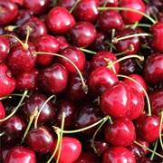 Bing Cherry