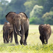 Loango National Park, Gabon