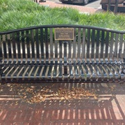 Bench of Irony