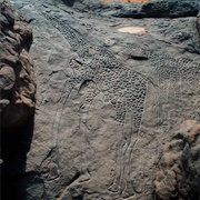 Dabous Giraffes, Niger