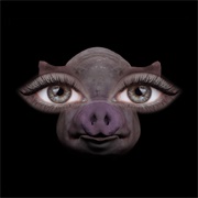 Us and Pigs - SOFIA ISELLA