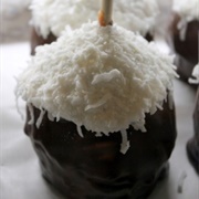 Cotton-Top Tamarin Caramel Apple