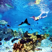 Belize Barrier Reef, Belize