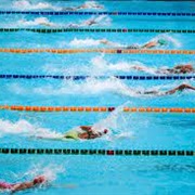 Swim Team (Not Swim Class)