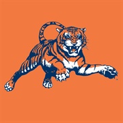 Auburn Tigers
