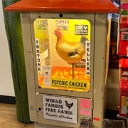 Psychic Chicken of Seattle