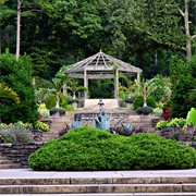 Duke Gardens