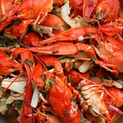 European Crayfish (Astacus Astacus)