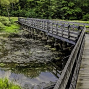 Beartown Lakes Reservation