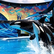 Sea World (Orlando), USA