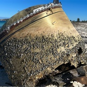 Washed Ashore on a Remote Island