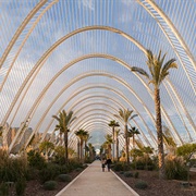 L'umbracle