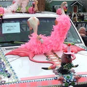 Car Flamingo 1