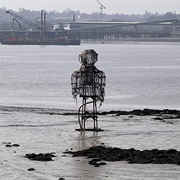 The Diver, England, UK