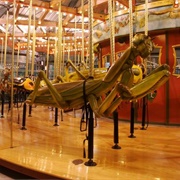 Bronx Zoo Bug Carousel