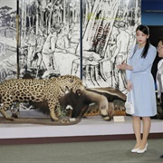 Museum of Japanese Immigration in Brazil