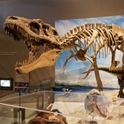 Natural History Museum of Utah
