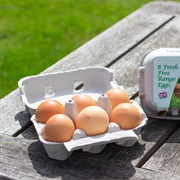 Free-Range Egg
