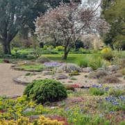 Beth Chatto Gardens
