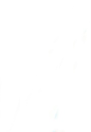 Blue Devil, Blue Devil (1996)