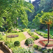 Norwich Plantation Garden