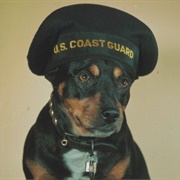 Grave of Sinbad the Dog