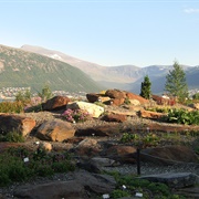 Artic Alpine Botanic Garden, Tromso, Norway
