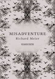 Misadventure (Richard Meier)
