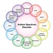 Autism Spectrum Disorder