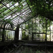 Boyce Thompson Institute for Plant Research (Permanently Closed)