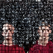 Hex Horizontal– Electric Fence