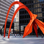 Flamingo, Chicago