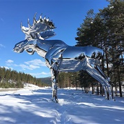 Silver Moose, Norway