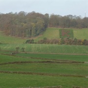 England's 'ER' Plantations