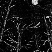 Wolfsmond - Die Graue Saat