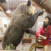 Museum of the Mountain Man