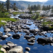 Inyo National Forest, CA and NV