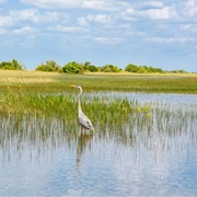 Lac Saint-Pierre, Quebec, Canada