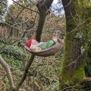 Valley of the Gnomes