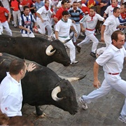 Bull Running