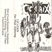 Cicatrix - The Final Gathering