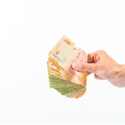 Spend the Year With Money in Hand