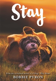 Stay (Bobbie Pyron)