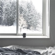 Watch a Blizzard From a Cozy Spot