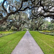 Live Oak Allée at Brookgreen Gardens