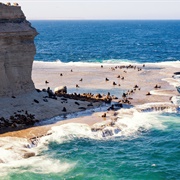 Peninsula Valdes, Argentina