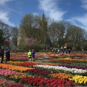 Hortus Bulborum, Limmen, the Netherlands