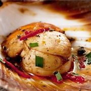 Deep Sea Scallop (Placopecten Magellanicus)